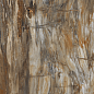Arty Brown High gloss 60*120 Art Ceramic