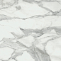 Invictus Natural 120x120 Baldocer