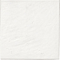 A040210 Jai Natural 20x20 CARMEN