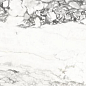 Medicea Marble Pol 60x120 Alpas Euro