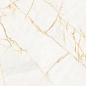 PF60017518 Supreme Hedonism Golden Spider Nat R 60x120 Flaviker