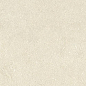 LGXIN00 Intense Clair Nat RT 9mm 60x120 Lea Ceramiche