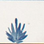M96T Rice Bianco dec Leaf Lux 5x15 MARAZZI Italy