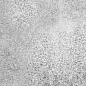 Veria серый 245x65 Beryoza Ceramica фото в миниатюре 25