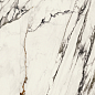 100331160 Xlight Paonazzo Biondo Silk 120x120 Urbatek