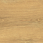 38604 Grow Honey SP/24X151X0,9/R 24x151 Peronda фото в миниатюре 32