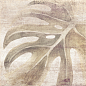 DECOR BOREAL TAUPE mix 20*20 Ibero