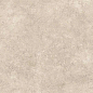 141135 Mythology Simbios Taupe Brushed Rect 60x120 Monocibec фото в миниатюре