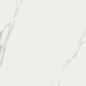 Bianco Statuario JW01 Nat Ret 60x60 Mirage