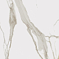 610010001683 Charme Evo Calacatta Nat Ret 80x160 Italon фото в миниатюре 3