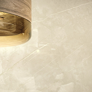 1320 Porcelanite Dos