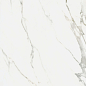 K951682R0001VTER Калакатта Оро Матовый R9 Ректификат 60x120 Vitra
