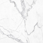Eco Marble 6291 Polished 60x60 Alpas Euro