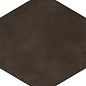781809 Sensi Terre Carbone Nat Esagono 22x20 Casa Dolce Casa