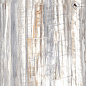 NSC8038 Серо-коричневый глянцевый 80x80 NS Ceramic фото в миниатюре 2