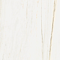 610010002833 Stellaris Carrara Ivory Nat Ret 60x120 Italon