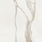 K5A2 Calacatta Gold Silk RT 120x120 Keope