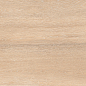 Amazon Wood Beige Matt 60x120 Staro