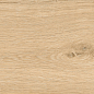 AB 1161W Wildwood Natural 1200x200 Absolut Gres