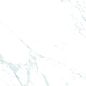 Teal Statuario 60x120 Realistik