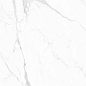 NTT3605P Marble White 120x280 NT Ceramic