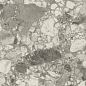 610015000669 Forte dei Marmi Ceppo Apuano Pearl Lapp 80x160 Atlas Concorde Russia