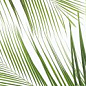 Панно Brennero Tropic (2) 50x75 Ceramika Konskie