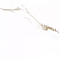 Carrara Bronze Rect матовая 60x60 Prime Ceramics