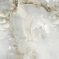 NAVONA Crema Polished 60x120 Infinity Ceramica