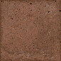 3404 Root Bold 13x13 VIVES