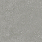Granite Gloria Gray / Граните Глория Серый SR 60x60 Idalgo (Идальго)