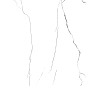 CNR0300 Ice Marbel белый 600х600х9.5 ProGRES Ceramica