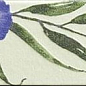 Tapis Eden 10х30 Mainzu