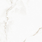 AB1004G White Onix gloss 600x600 Absolut Gres