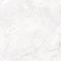 CR6008-A Arctic White Carving 60x60 Arcadia Ceramica фото в миниатюре 5