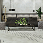 Anima New Trend