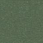 150RTVEA rct.5 Green Australian VEA 5x15 Winckelmans