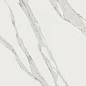 TV13 Jewels JW02 Calacatta Reale 60x120 Mirage