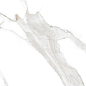 N20576 Statuario Irish Gold Matt 60x120 Neodom