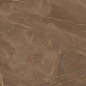 Armani Brown Satin 60x60 Colortile