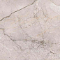 Marble Dragon Grey Polished 60x120 Alpas Euro фото в миниатюре 3