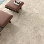 Bloomstone Caesar фото в миниатюре 16