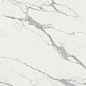 PF60011126 Statuario Light Ant. 3D Rett 60x120 ABK