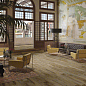 World Woods VIVES