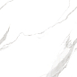 900 Statuario Fantastico 120x60 Artcer