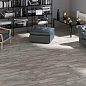 1108 Modena Honey Mate 120x20 Artcer