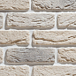 Декоративный кирпич Плоскость Руан 052 21,5x6,5x1,5 Leonardo Stone