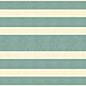 155E037F104 ENC37 White (Grey) 5x15 Winckelmans