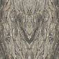 MN319AP321606 (MN328CP321606) Frappuccino Polished 6mm 160x320 Moreroom Stone