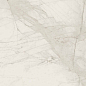 PF60015280 Tarsia Bianco Dolomiti Lux 3D Rett 60x120 Versace (Gardenia Orchidea)